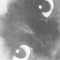 Square_avatar
