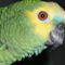 Square_dscn0246_1272231788