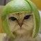 Square_avatar