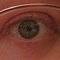 Square_48590_595987602_1440_n